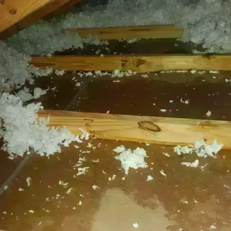 Attic Water Damage in Shelter Island, NY